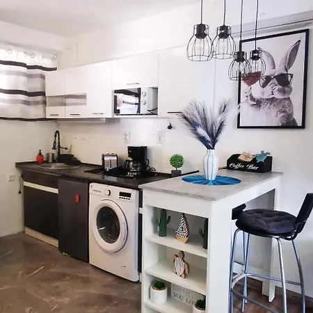 Paloma Blanca 2 Apartment Gardony